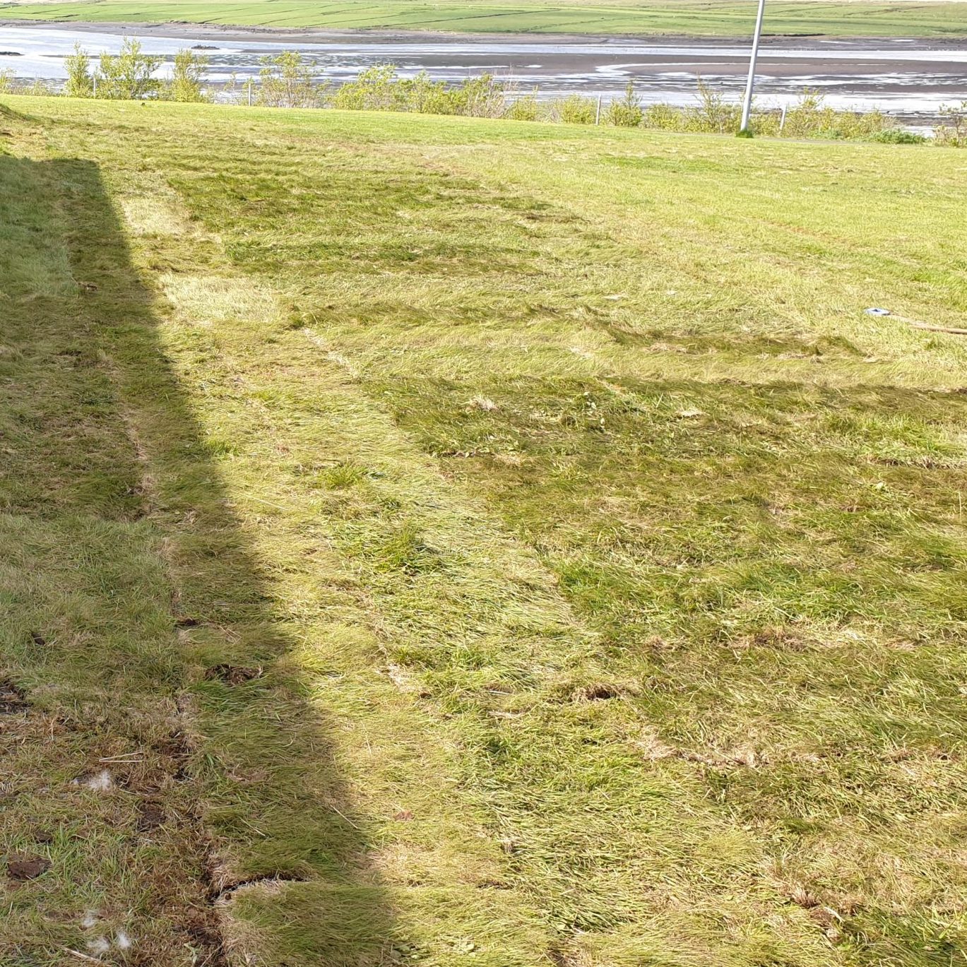 Túnþökur lagðar á lóð